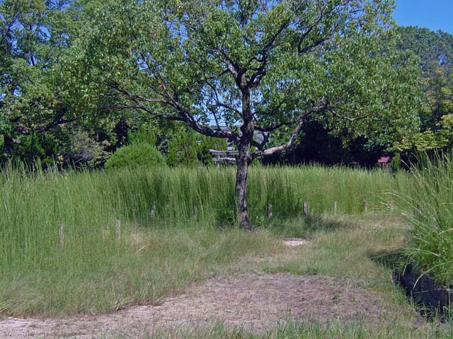 41DSCF9083.jpg