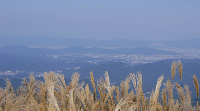 52DSC01711.jpg