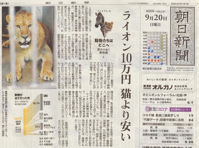 Asahiasa20200920.jpg