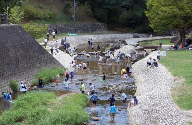 夏 天野川 川遊び 天野川 川遊び