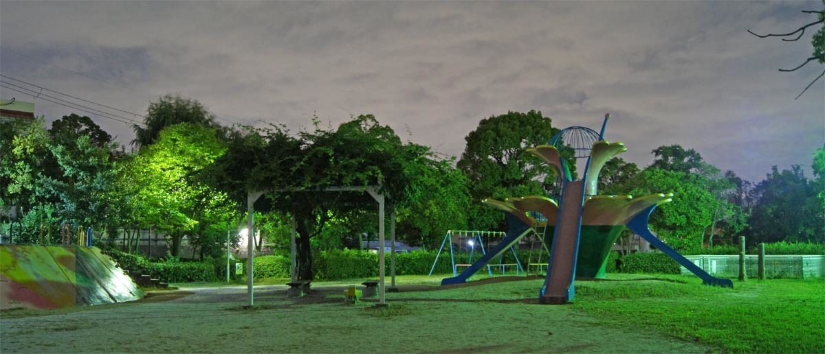 八幡市ひまわり公園 水色カメラ2
