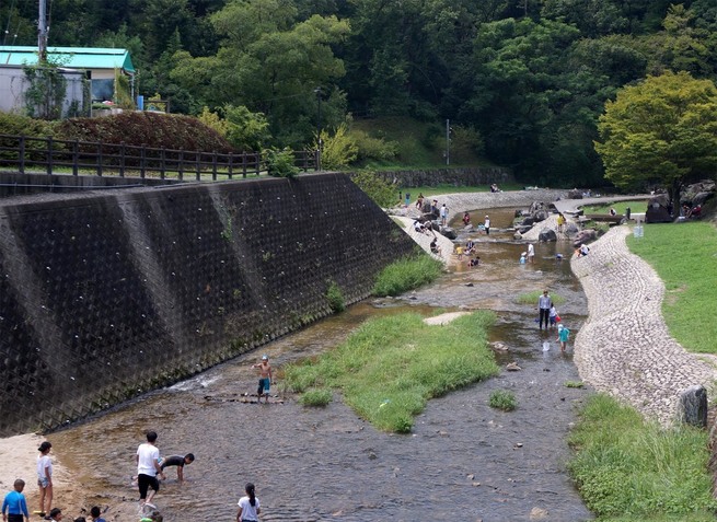 DSC01631a.jpg
