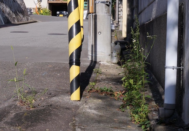DSC01975a.jpg