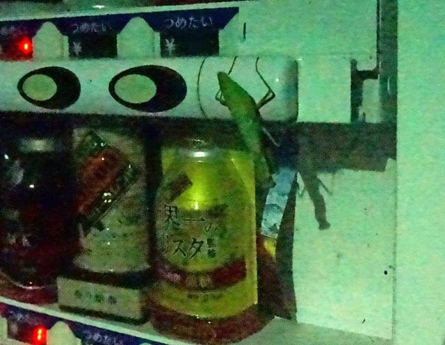DSC04344a.jpg
