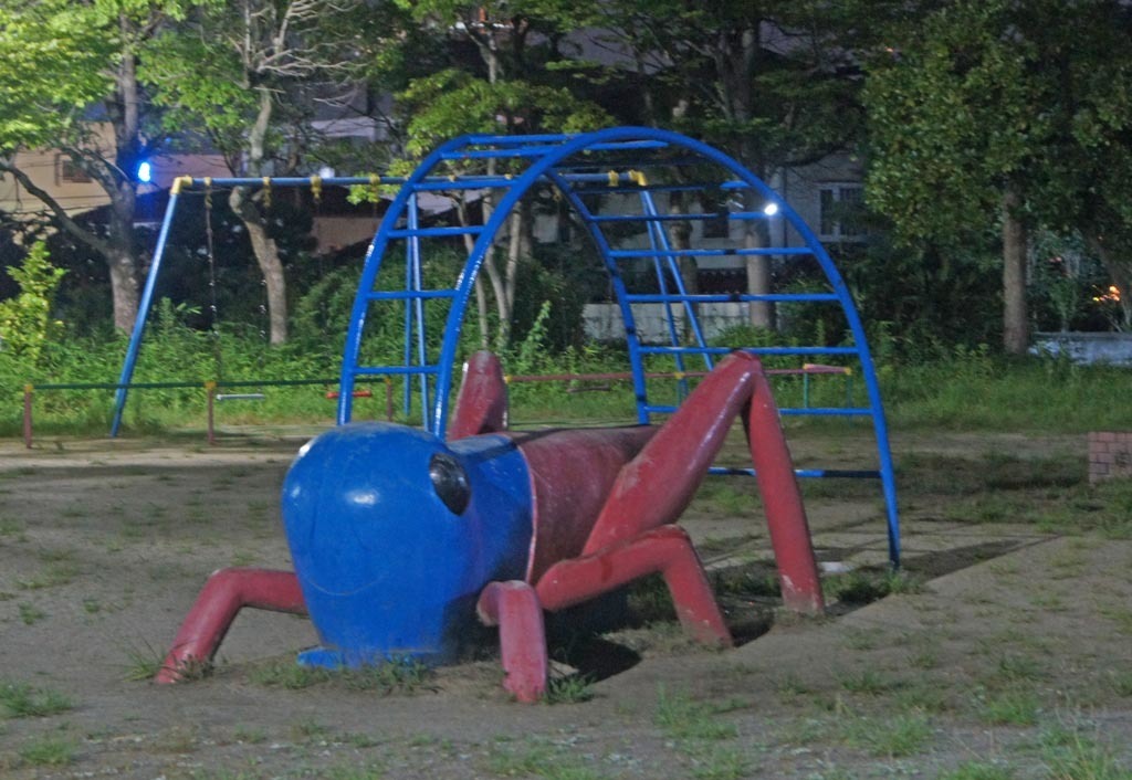 八幡市カナリヤ公園 水色カメラ2