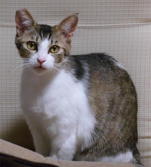 DSCN4817a.jpg