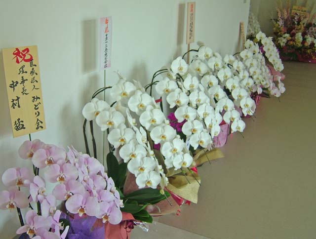 男山病院1.jpg