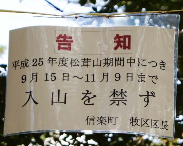 紫香楽宮跡駅